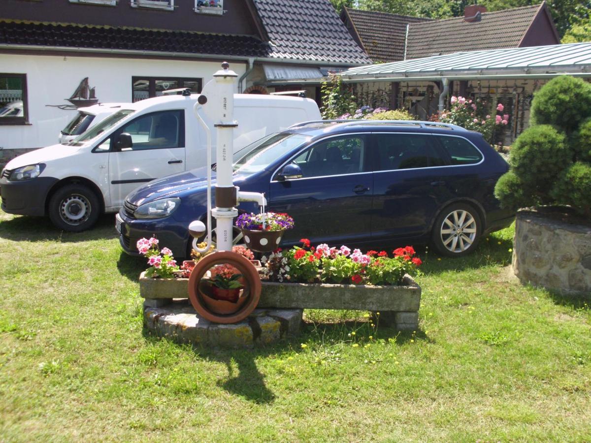 Ferienwohnung Koje Born Exterior foto